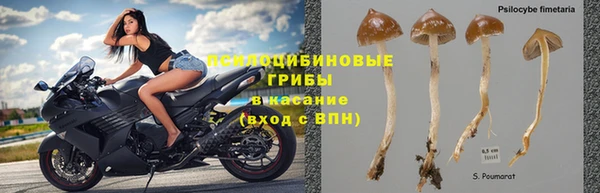 прущий лед Горно-Алтайск