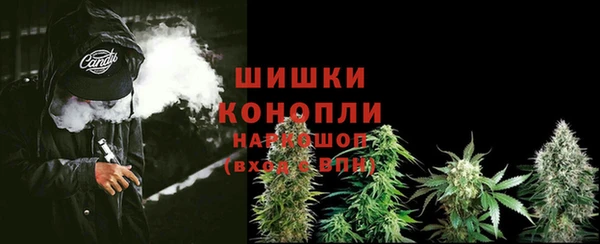прущий лед Горно-Алтайск