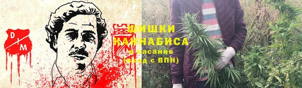 прущий лед Горно-Алтайск