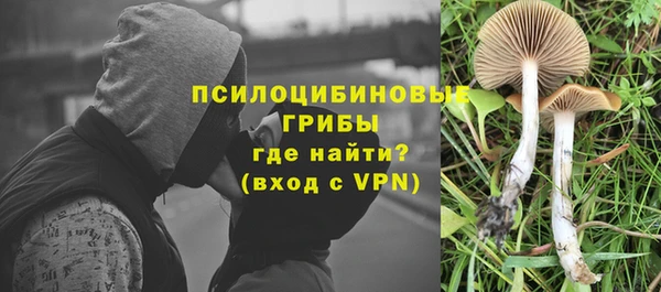 прущий лед Горно-Алтайск