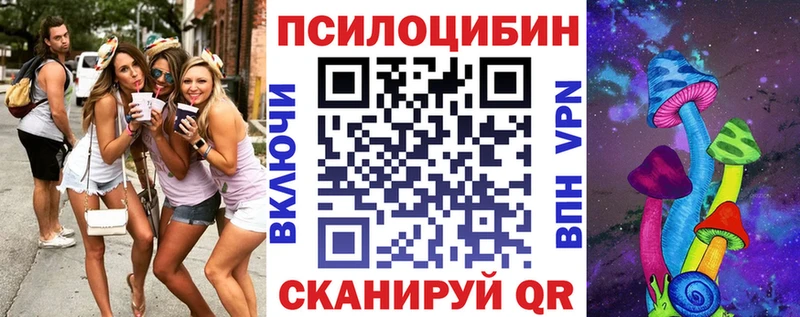 Купить где  Кологрив  Галлюциногенные грибы GOLDEN TEACHER 
